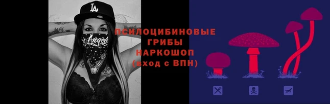 марки nbome Заводоуковск