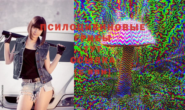 стаф Заволжск