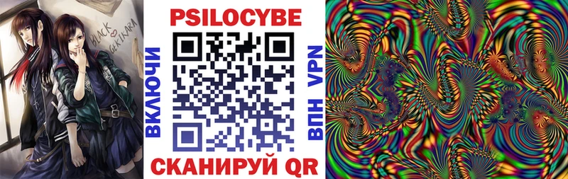 площадка формула магазин Славянск-на-Кубани Галлюциногенные грибы Psilocybe