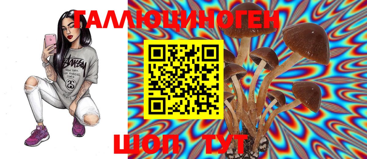 сколько стоит  Вход с VPN  Галлюциногенные грибы Psilocybe  Славянск-на-Кубани  Псилоцибиновые грибы прущие грибы 