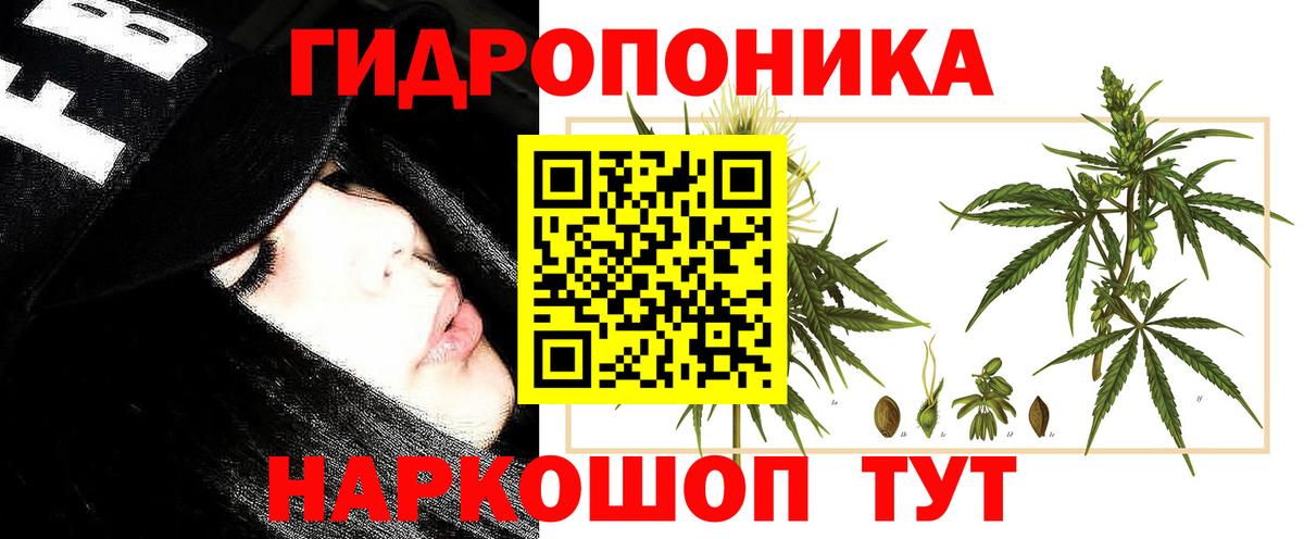 Бошки марихуана AK-47  Бошки марихуана THC 21%  Вход с VPN  Конопля планчик  Славянск-на-Кубани 